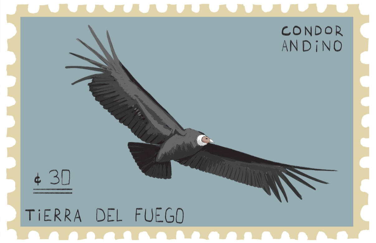 Condor